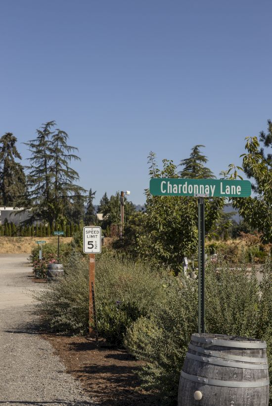 A rural road sign reads &ldquo;Chardonnay Lane,&rdquo; with landscaped trees and a &ldquo;Speed Limit 51&rdquo; sign under a clear blue sky.