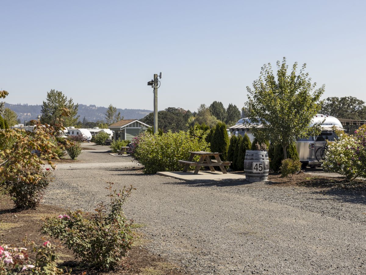 A sunny RV park lane lined with greenery, flowers, barrels, and trailers under a clear blue sky.