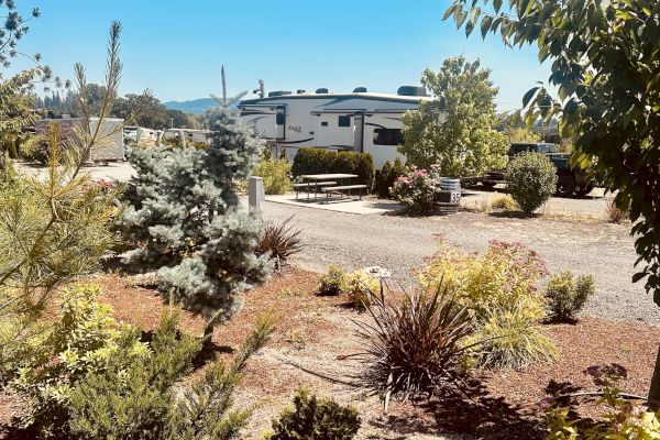 The image shows a parked RV beside trees and shrubs, set against a clear blue sky.