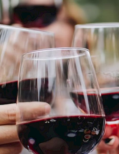 A group of people clinking glasses of red wine in a celebratory setting, with a blurred background suggesting a social gathering.