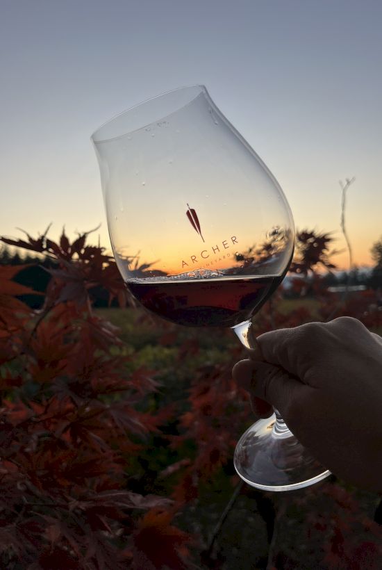 A hand holds a wine glass with red wine, set against a sunset backdrop with foliage. The glass has the word "ARCHER" on it.