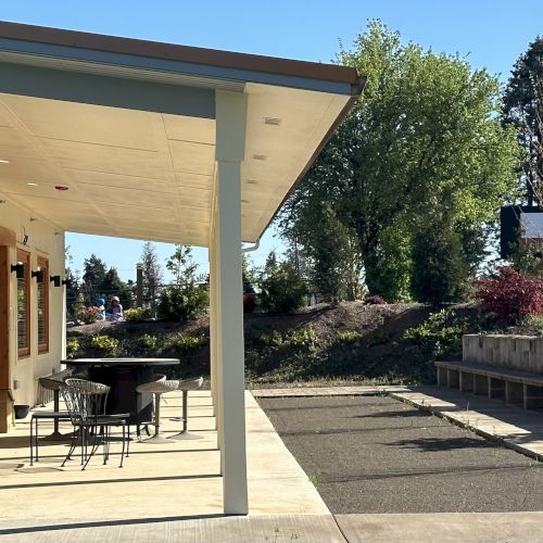 A sunlit patio with seating, surrounded by trees and plants, adjacent to a building with large windows and a slanted roof.