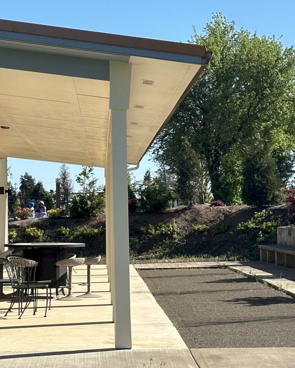 A sunlit patio with seating, surrounded by trees and plants, adjacent to a building with large windows and a slanted roof.