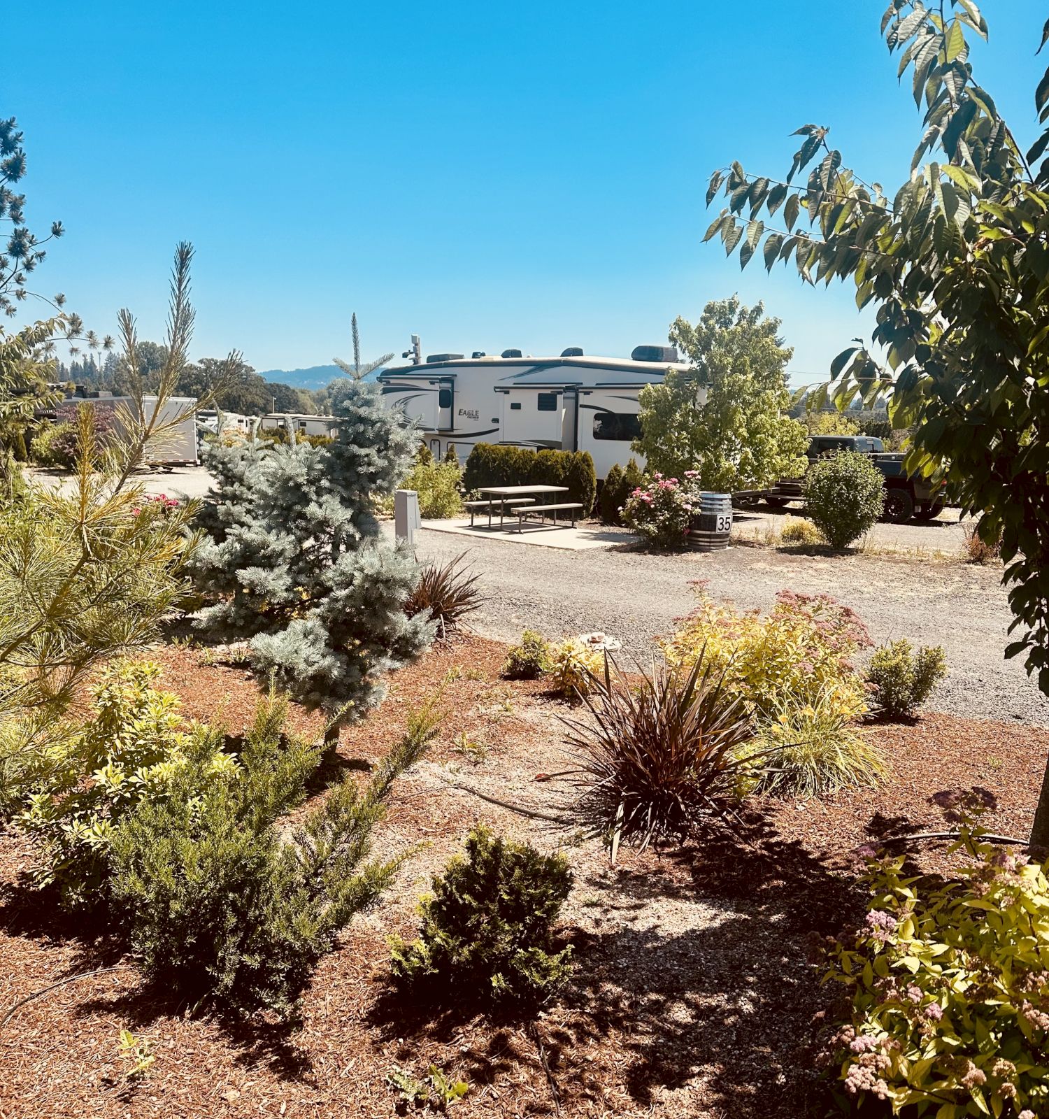 The image shows a camper amidst a landscaped area with trees and shrubs under a clear blue sky.