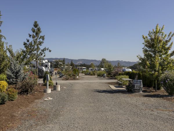 Quiet RV campground with numbered spots, parked trailers, landscaped trees, and distant hills beneath a clear blue sky.