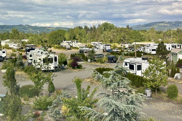 An RV park surrounded by greenery and hills. Several RVs are parked with some trees and shrubs around the area under a cloudy sky.