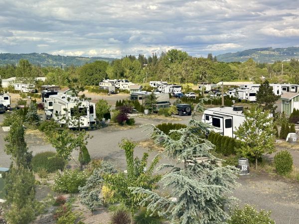 An RV park surrounded by greenery and hills. Several RVs are parked with some trees and shrubs around the area under a cloudy sky.