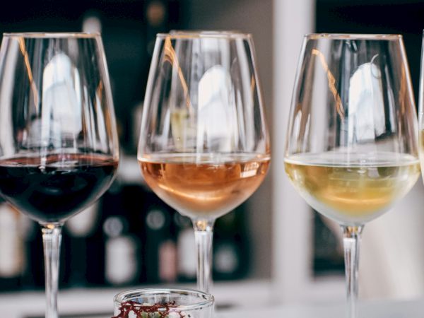 The image shows four wine glasses filled with different types of wine, arranged on a table with blurred shelves in the background.