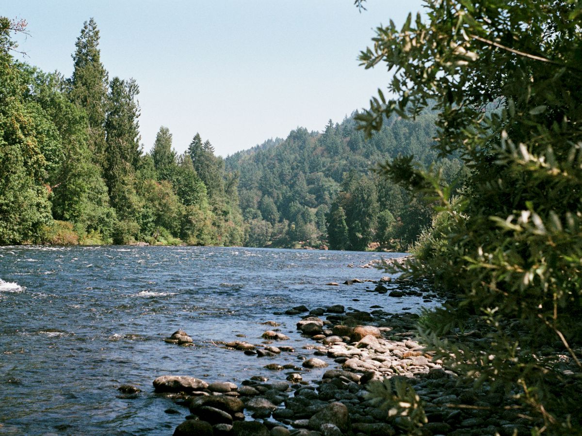 A serene river flows between lush green trees and mountains, with a rocky shoreline under a clear blue sky.