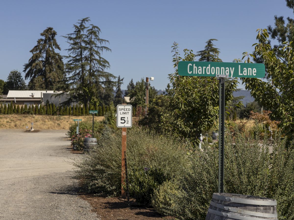 A roadside sign reads &ldquo;Chardonnay Lane,&rdquo; beside a &ldquo;Speed Limit 5&frac12;&rdquo; board, with trees and greenery along a driveway.
