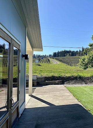 A modern building with glass doors, a concrete patio, and a grassy area, overlooking a vineyard and a large tree under a clear blue sky.