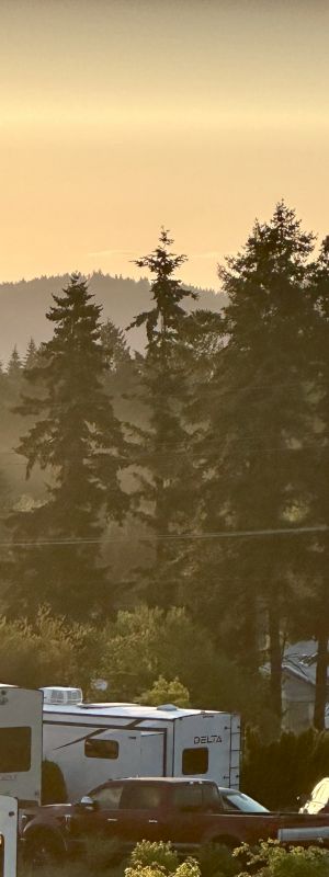 Hot air balloons float in the sky over a scenic landscape with trees, an RV, and cars visible in the foreground.