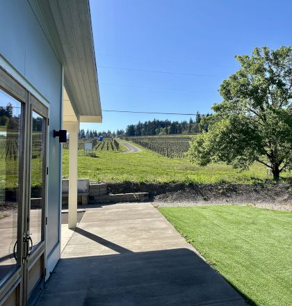 A modern building with glass doors, a concrete patio, and a grassy area, overlooking a vineyard and a large tree under a clear blue sky.