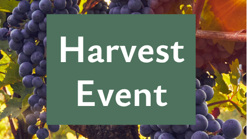 A vineyard scene with ripe purple grapes and a green sign reading &ldquo;Harvest Event.&rdquo;