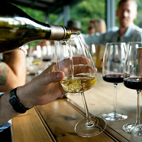 A person pours white wine into a glass during an outdoor wine tasting, with several red and white glasses on the table.