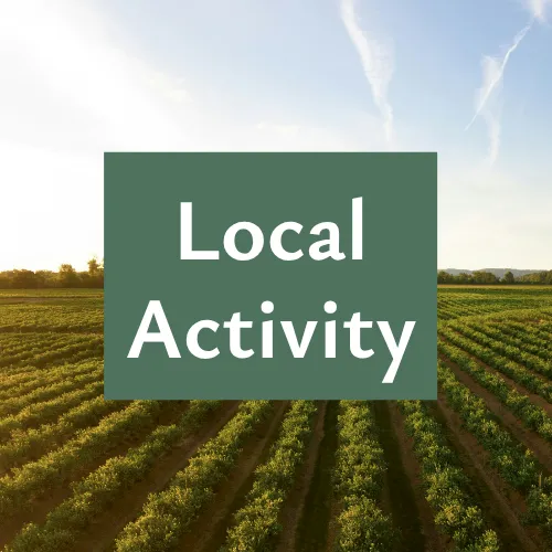 A sunny countryside with green fields and a big “Local Activity” sign overlay.