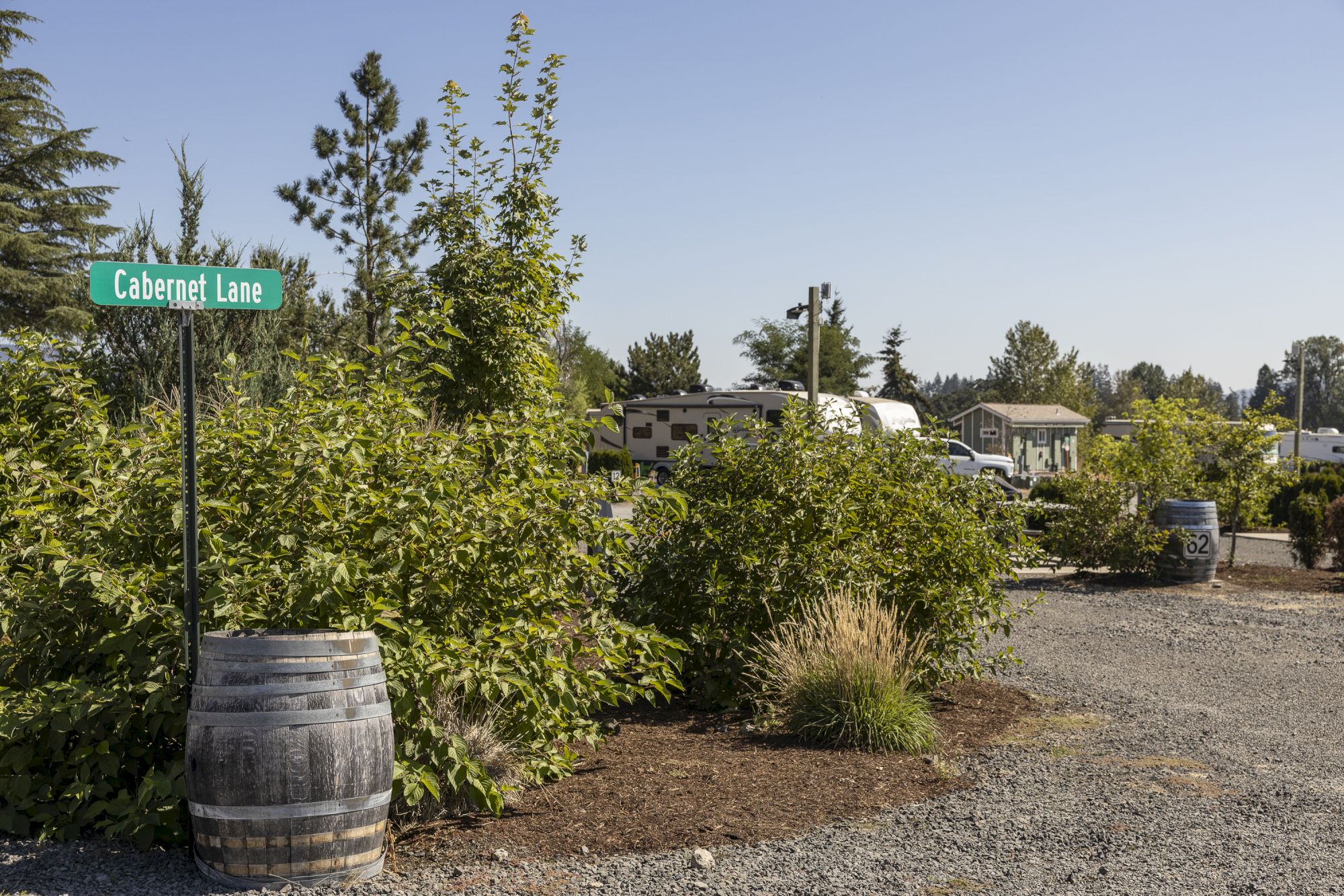 Cabernet Lane vineyard road with leafy bushes, a wooden barrel, and parked RVs under a blue sky.